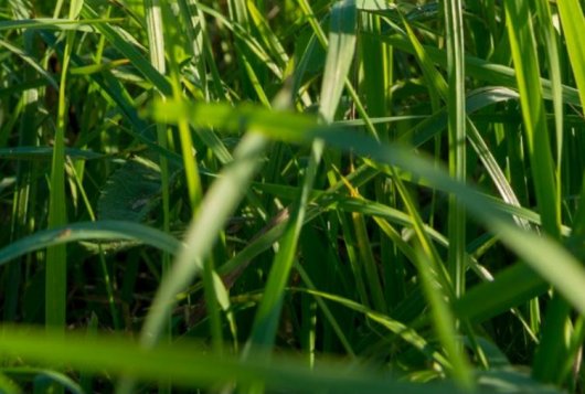 mijnkringloopwijzer.nl/actueel/nieuws…