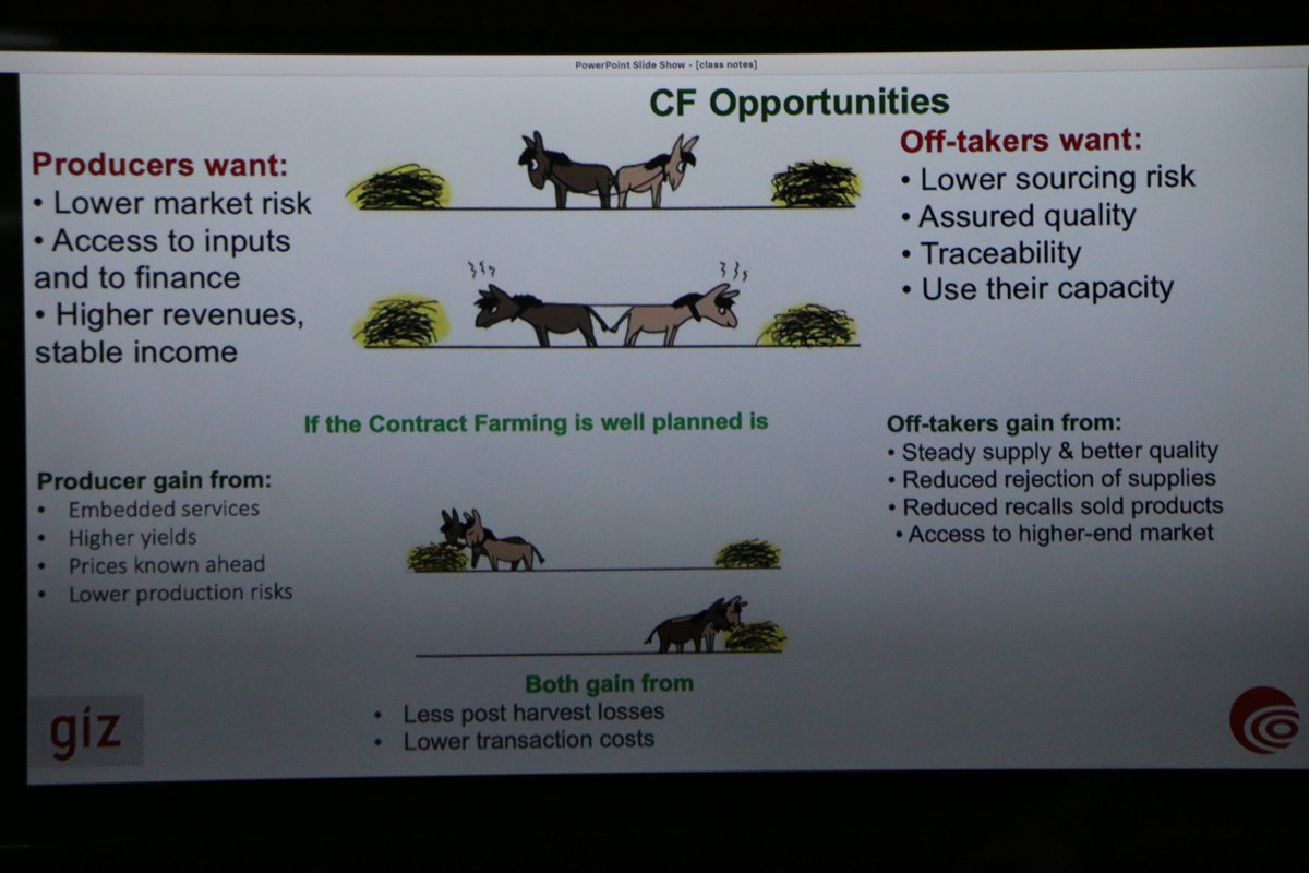 TanzaniaViable's tweet photo. Learning is part and parcel of our life. Early today Viable member @MSTCDC Arusha for the 2days training on contract farming.
@MSTCDC 
@saraezrateri 
@WorldVegCenter  
@RugalemaG 
@MNjumali 
@giz_gmbh https://t.co/CJtL6m0Jg6