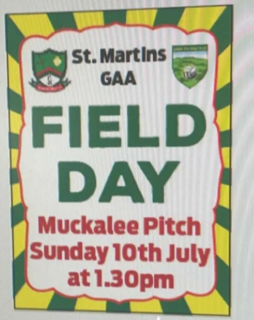 St. Martin's Hurling (@stmartinskk) on Twitter photo 