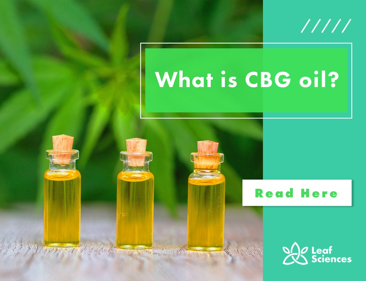 LeafSciences's tweet photo. CBG - also known as #cannabigerol - is another cannabinoid found in the cannabis plant, but how does #CBG oil differ from the more well-known #CBD oil?
Find out in our blog: https://t.co/LEc1PtaVRf #cannabis #CBDoil #CBGoil https://t.co/3aBg3VvIy8