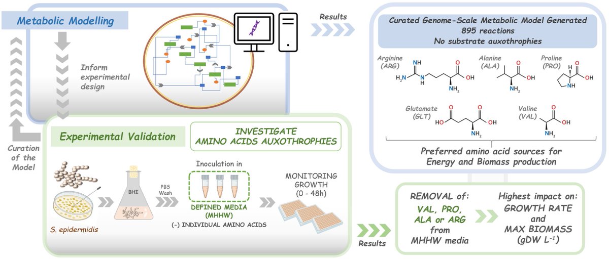 MetabolitesMDPI's tweet photo. #MDPIMetabolites📗"Genome-Scale #Metabolic Modelling Approach to Understand the Metabolism of the Opportunistic Human Pathogen #Staphylococcus epidermidis RP62A" by Dipali Singh team.
See full article here: https://t.co/qMCdvV7uOH https://t.co/228UdRj4WD