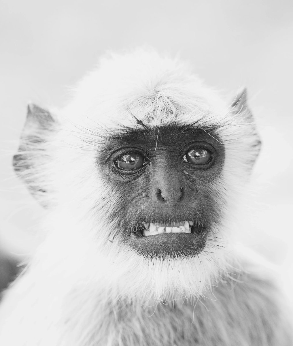 MyBusinessComp's tweet photo. How do you feel about asking clients for feedback? 

If you are pulling this face, I get it, but the value of reviews is frequently underestimated. And, don't worry about asking for feedback - it shows that you care and value their opinions!

#soletradertips #marketingstrategy https://t.co/0j7io1v2JN