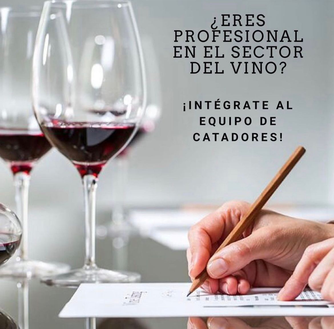 Estamos seleccionando catadores, profesionales del sector para las próximas jornadas de catas que se realizarán en Barcelona el próximo mes de julio. 
📥 topwine.es