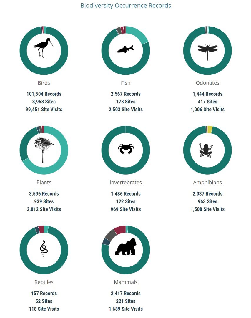 The #RBIS has again mobilized new modules that Reptiles, Plants and mammals in Rwanda. To explore the RBIS please visit: rbis.ur.ac.rw