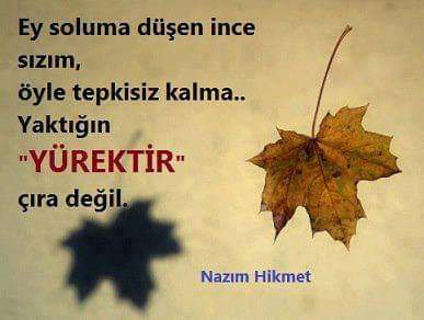 Selime Kazanç (@kazancselime) on Twitter photo 