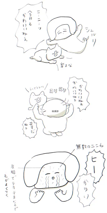 ニーニー(ダブルコート)の換毛期始まったっぽい(つらい) 