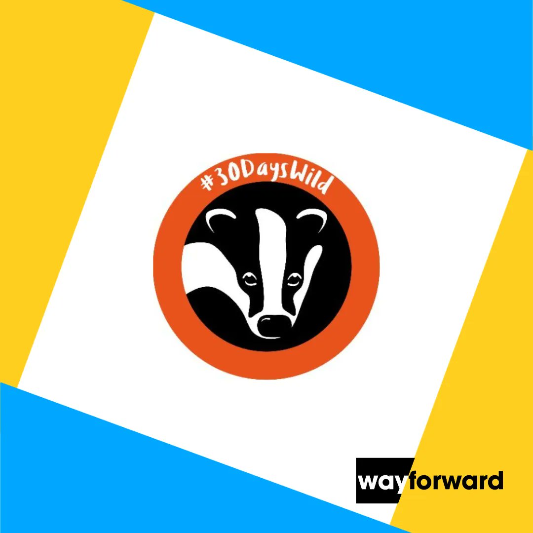 For the month of June <a href="/WildlifeTrusts/">The Wildlife Trusts</a> have been challenging the public to #actwild every day - inspiring people to protect nature by getting closer to it. Last year's #30DaysWild campaign saw a record 760,000 people take part to complete over 16m acts of wildness.