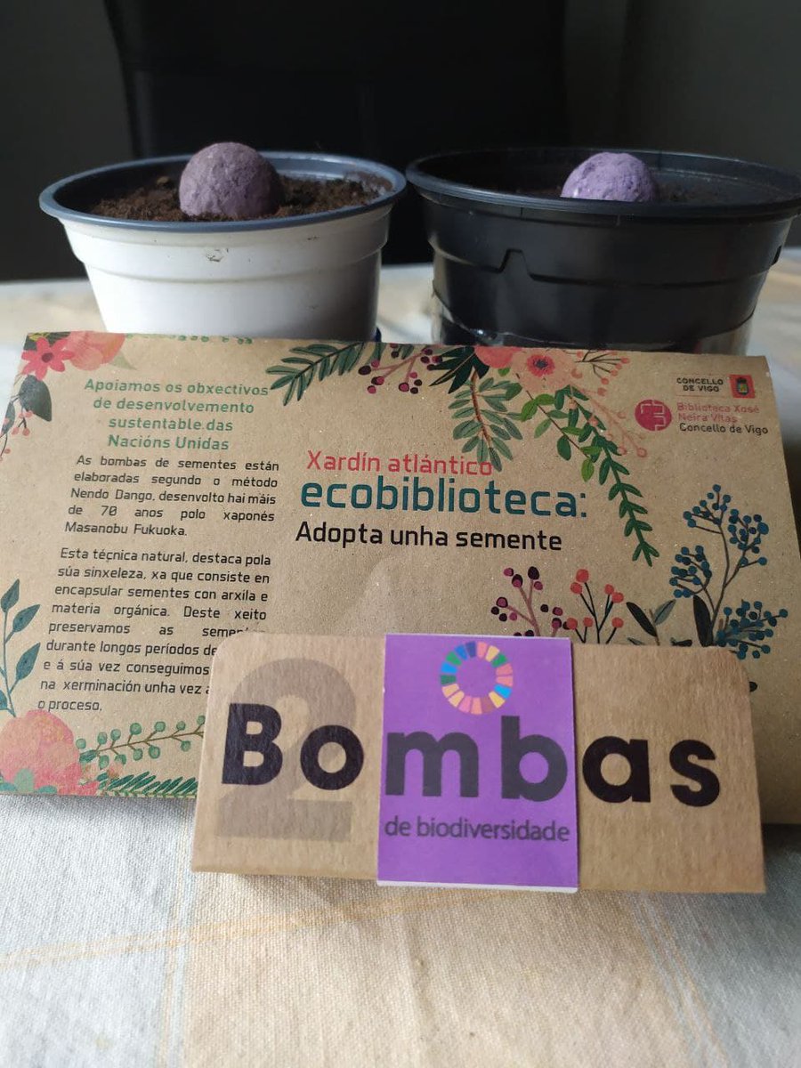 bpneiravilas's tweet photo. 🌱Adopta unha semente🌱
Chégannos máis fotos das sementes adpotadas... Neste caso Óscar e familia😍😍
#GlobalGoals
#DA21
#Lib4Dev
#Ecobiblioteca https://t.co/DQ9QbRBD8s