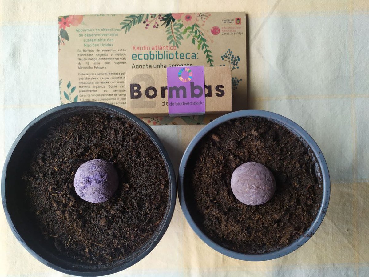 bpneiravilas's tweet photo. 🌱Adopta unha semente🌱
Chégannos máis fotos das sementes adpotadas... Neste caso Óscar e familia😍😍
#GlobalGoals
#DA21
#Lib4Dev
#Ecobiblioteca https://t.co/DQ9QbRBD8s