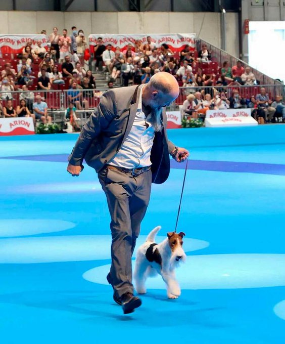 Foto cedida por Dog Show