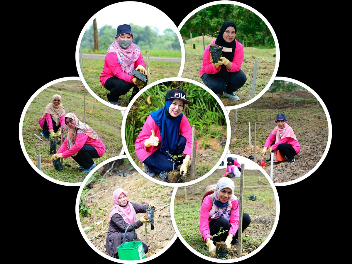 FRIMKepong's tweet photo. #PWFRIM telah mengadakan Program Jelajah Restorasi & Penanaman Pokok di Stesen Penyelidikan FRIM di Maran (#SPFMaran), Pahang pada 23 Jun lalu dengan menanam 150 pokok tongkat ali (Eurycoma longifolia).
https://t.co/VTE3uYTYD3 https://t.co/k3w1HahMer