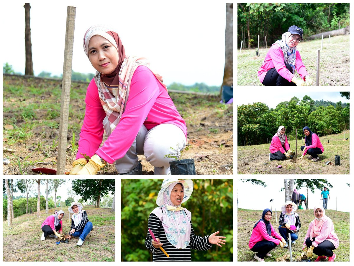 FRIMKepong's tweet photo. #PWFRIM telah mengadakan Program Jelajah Restorasi & Penanaman Pokok di Stesen Penyelidikan FRIM di Maran (#SPFMaran), Pahang pada 23 Jun lalu dengan menanam 150 pokok tongkat ali (Eurycoma longifolia).
https://t.co/VTE3uYTYD3 https://t.co/k3w1HahMer
