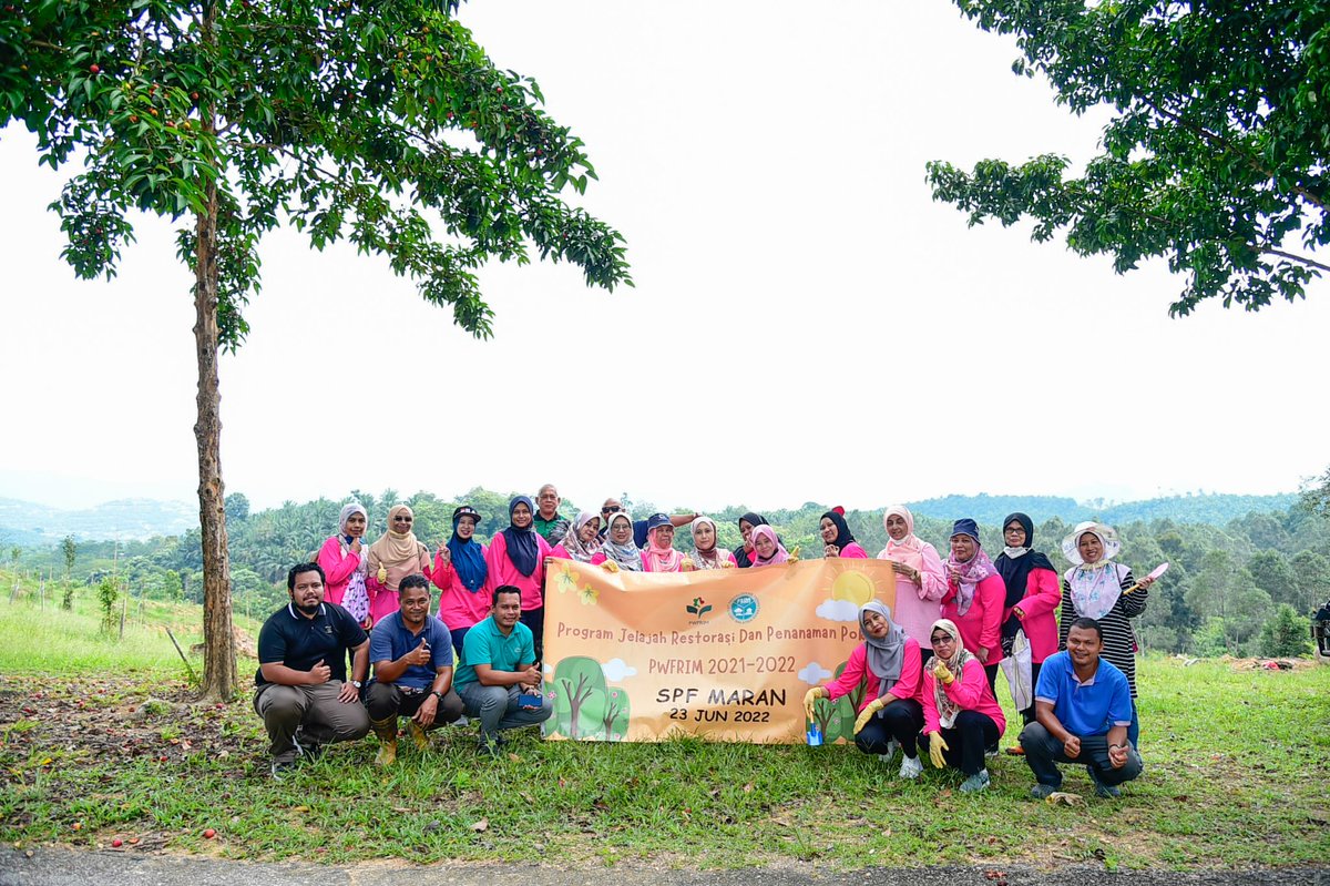 FRIMKepong's tweet photo. #PWFRIM telah mengadakan Program Jelajah Restorasi & Penanaman Pokok di Stesen Penyelidikan FRIM di Maran (#SPFMaran), Pahang pada 23 Jun lalu dengan menanam 150 pokok tongkat ali (Eurycoma longifolia).
https://t.co/VTE3uYTYD3 https://t.co/k3w1HahMer
