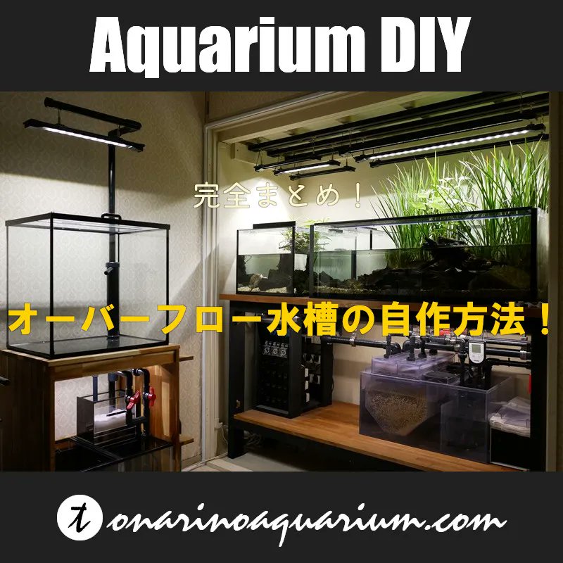 Jiro となりのアクアリウム Tonarium Twitter