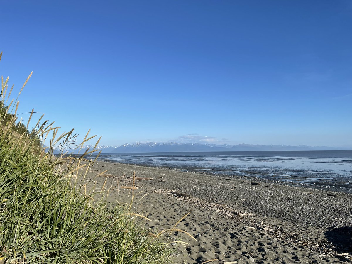 I touched some sand and grass today. #enjoyingnature #Alaskasummers