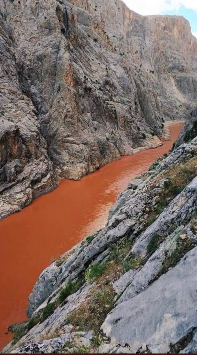 Captain_Black72's tweet photo. Karasu Kan Ağlıyor!

 #AğzımızınTadıKalmadı https://t.co/2Z4SMN9Qpy