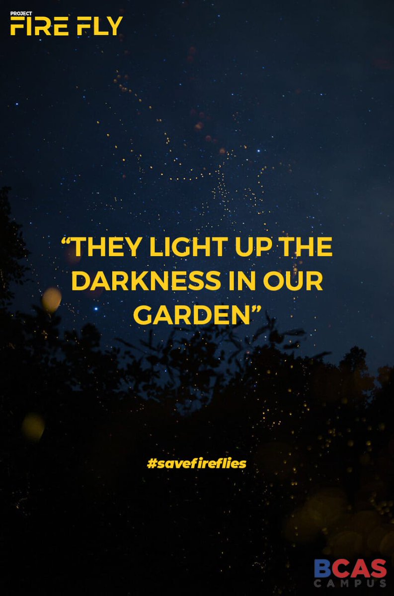 ChiranthaPerer3's tweet photo. #savefireflies https://t.co/w4LJZkWTiK