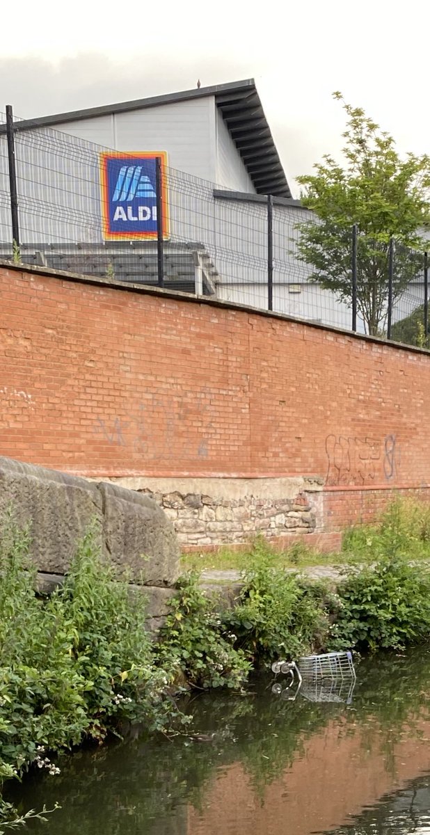 drvan's tweet photo. <David Attenborough Voice> “Ahhhh, &amp; if U look carefully, here we have the ubiquitous Canal Trolley in its natural habitat, stalking its prey. You can see him lying in wait, appearing to be common British refuse in the GreaterManchester canal system.” OnThe5th #DaysOfSummer2022. https://t.co/q57JX93vT1