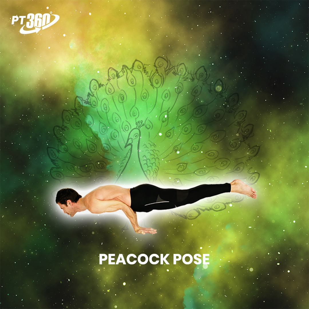 Pose of the Day:
Peacock Pose

Join our team of experts and help people live a healthier life.
Connect now: info@pt360.co
.
.
.
#pt360 #yoga #yogaislife #mindfulness #meditation #yogainspiration #yogatherapy #yogapose #yogajourney https://t.co/RVg9o6IQDY
