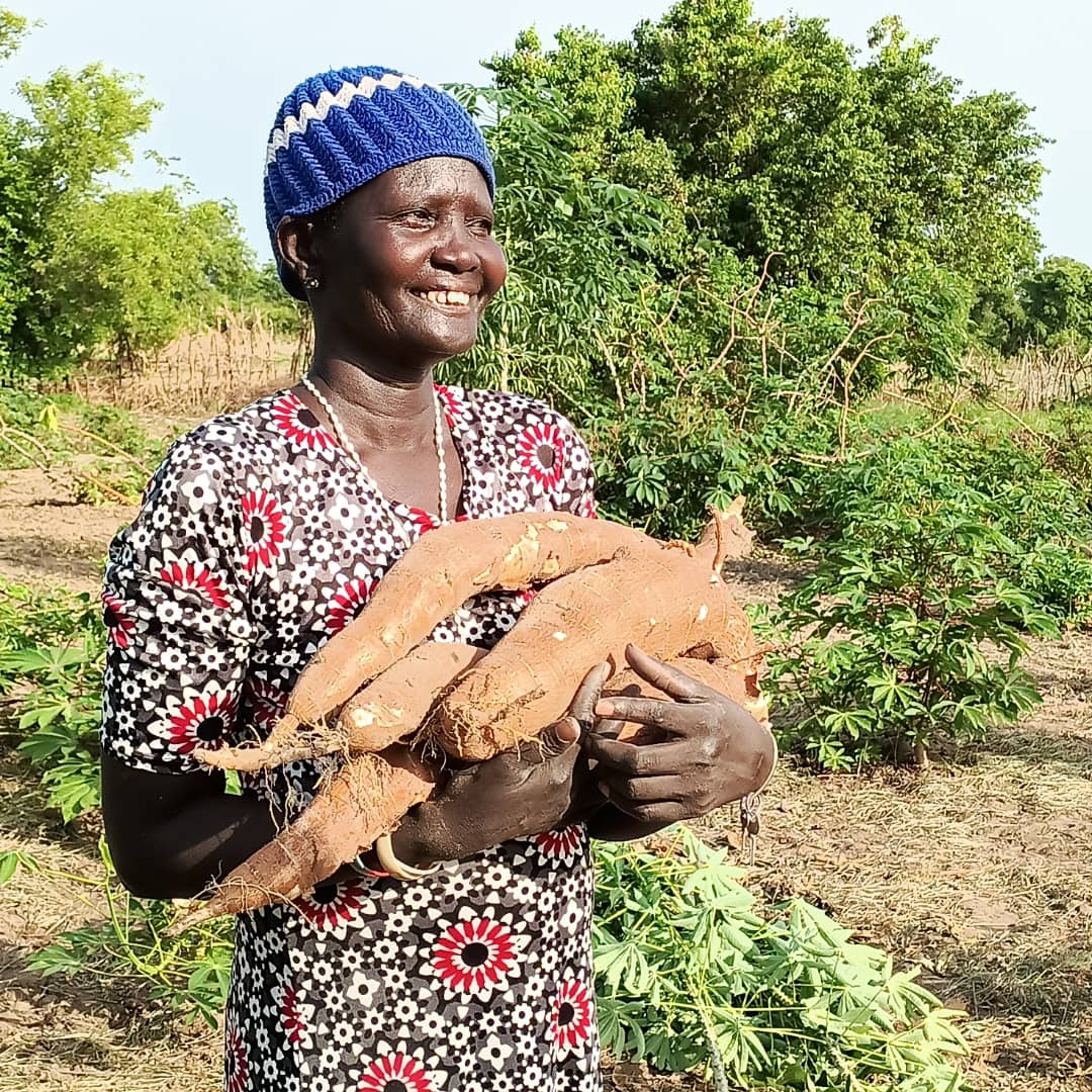 JalalWFP's tweet photo. Cassava harvest in Gogrial West County, #SouthSudan 

Cassava is one of the most drought-tolerant crops.

Last year, WFP and JAM introduced Cassava in Gogrial West as a new crop to:

✅Adapt to dry spells &amp; droughts

✅Diversify crops to reduce risks associated with crop failure https://t.co/WJitloMVm7