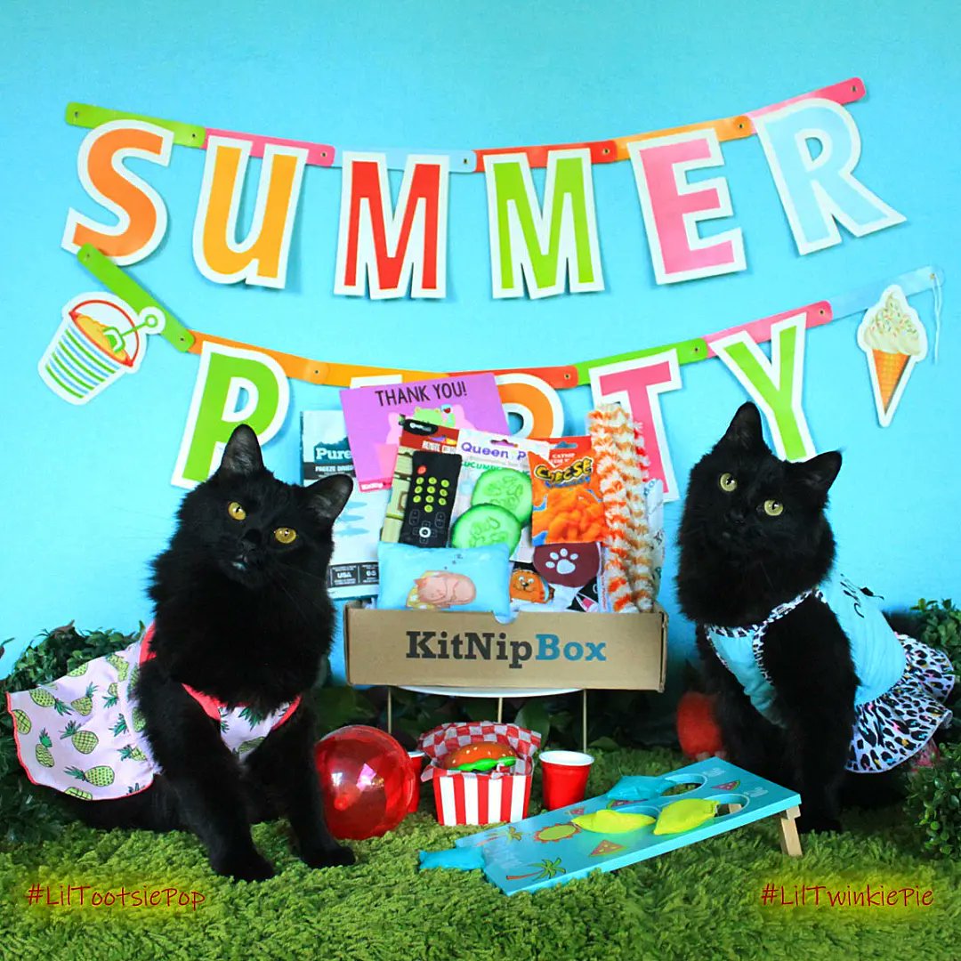 LilMissBabycat's tweet photo. It's SUMMER!! It's staycation time!!
Give your kitties a little vaction every month with a KitNipBox! Each month they get a box filled with fun themed toys and tasty treats!  And if you decide to try it..don't forget to use my code BABYCAT15 to save 15%!! https://t.co/fMfAfksRBj