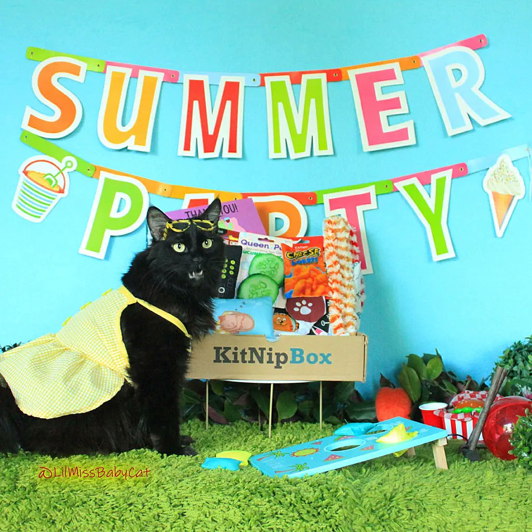 LilMissBabycat's tweet photo. It's SUMMER!! It's staycation time!!
Give your kitties a little vaction every month with a KitNipBox! Each month they get a box filled with fun themed toys and tasty treats!  And if you decide to try it..don't forget to use my code BABYCAT15 to save 15%!! https://t.co/fMfAfksRBj