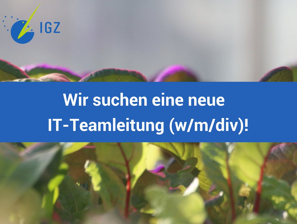 igz_leibniz's tweet image. #JobAngebot: am @igz_leibniz ist zum nächstmöglichen Zeitpunkt #unbefristet folgende Stelle zu besetzen: Teamleitung IT (w,m,div.).

👉 mehr Info: igzev.de/teamleitung-it…

#Stellenangebot #Stellenanzeige #ITJobs #jobinIT
