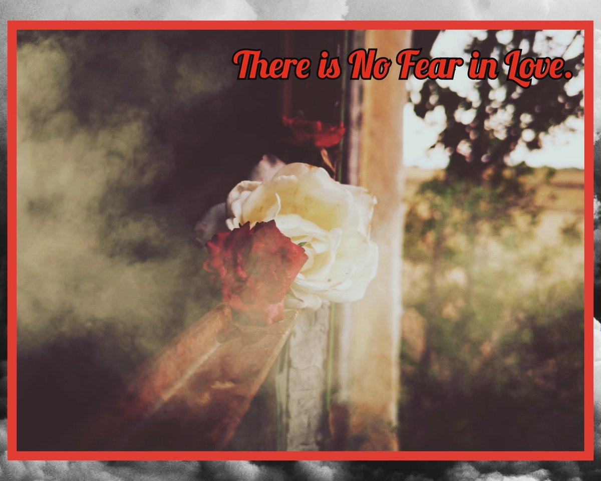 💫Thought of the Day 💥
Don't let Fear Overwhelm you.

Fear is not easy to overcome, But it can be done.

There is no fear in love, but perfect love casts out fear. For fear has to do with punishment, and whoever fears has not been perfected in love.
1 John 4:18 ESV