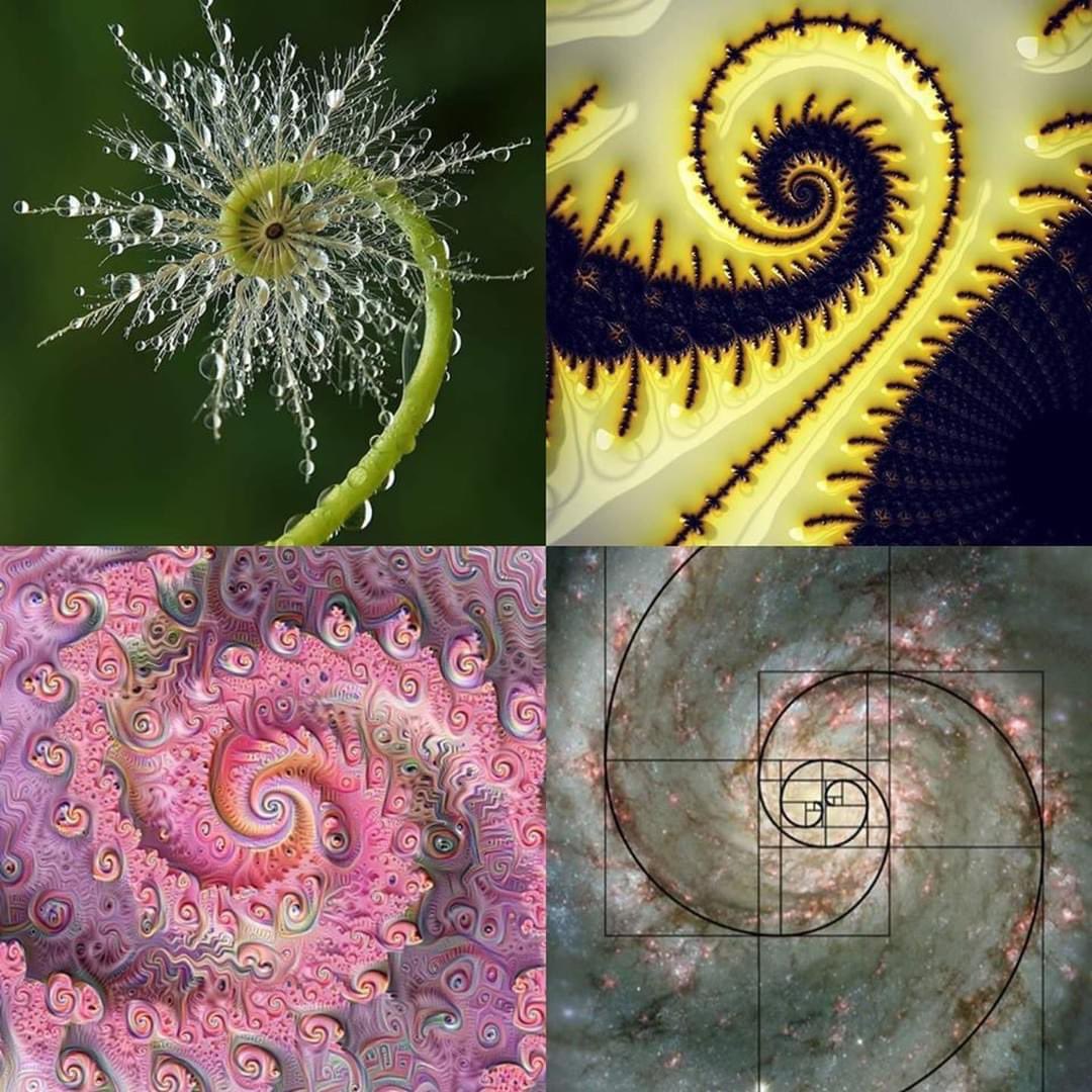 illuminatibot (@iluminatibot) on Twitter photo 