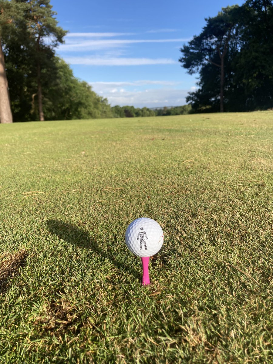 Rob Wotton tweet media