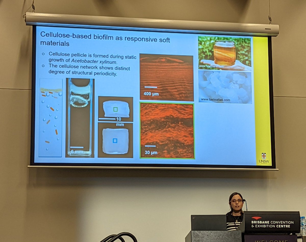 Patrick Spicer (@softmatterhackr) on Twitter photo Now <a href="/firoozeh_bkh/">Firoozeh Babayekhorasani</a> takes us through her work on the unique hierarchical structures bacteria form when they build their nanocellulose apartment buildings at IACIS 2022. Now <a href="/firoozeh_bkh/">Firoozeh Babayekhorasani</a> takes us through her work on the unique hierarchical structures bacteria form when they build their nanocellulose apartment buildings at IACIS 2022.