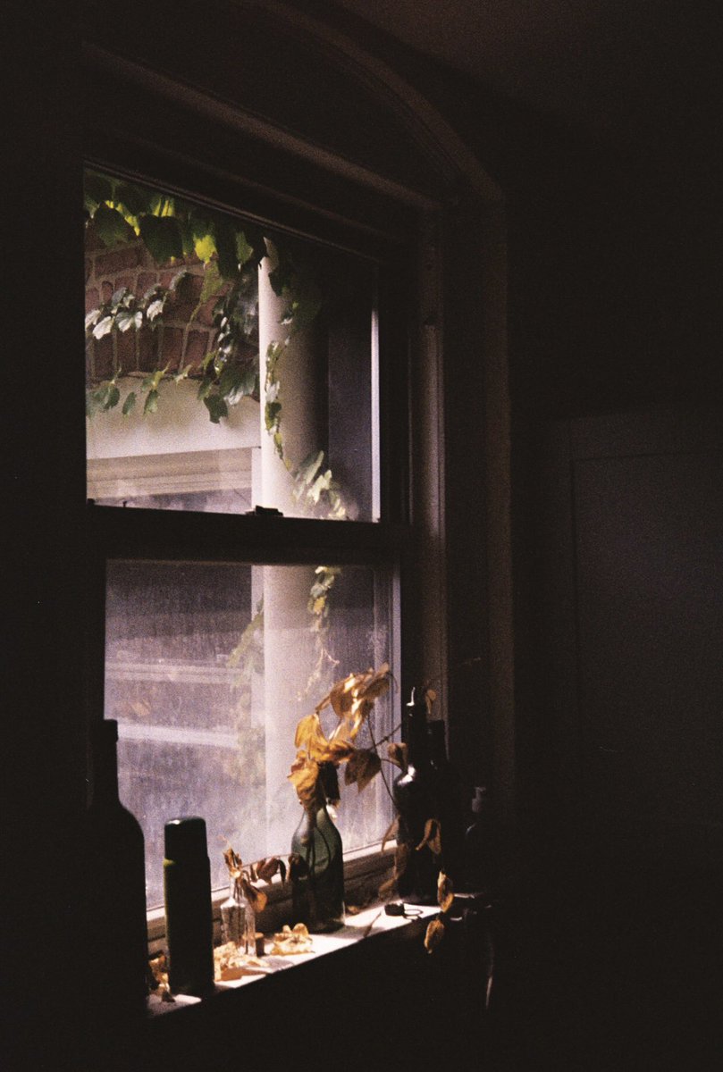 drewlbos's tweet photo. off my last two rolls :) #35mm https://t.co/Qa34OGQAvz
