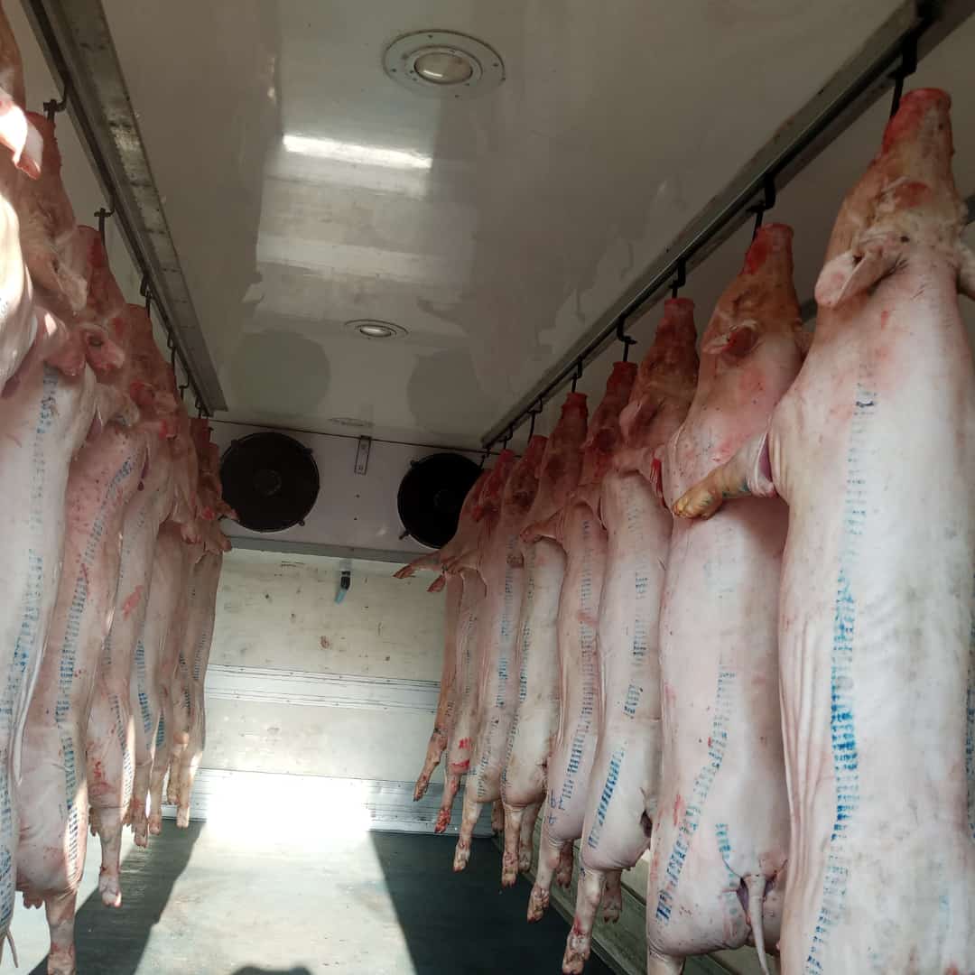 FarhillPig's tweet photo. Winners Love Mondays... https://t.co/69SskHxn1b