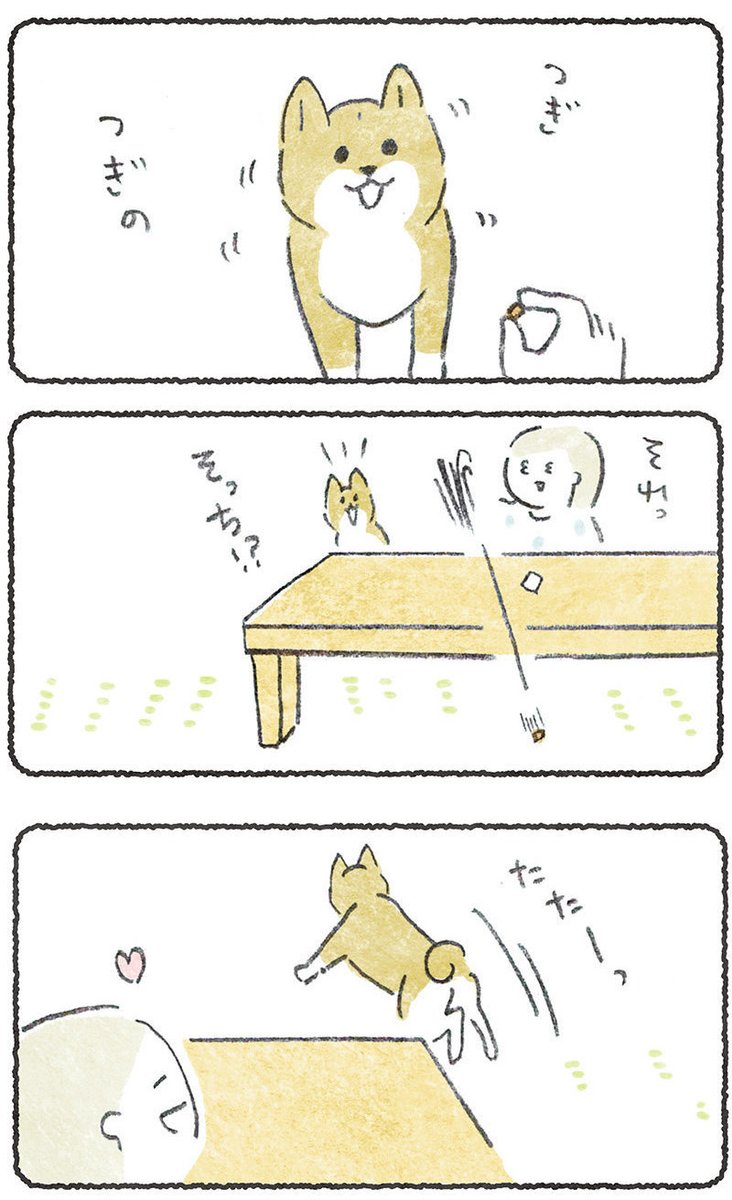 おやつどこに飛んだか探す犬😊🐕

リプにつづき貼ります
#豆しばこつぶ 