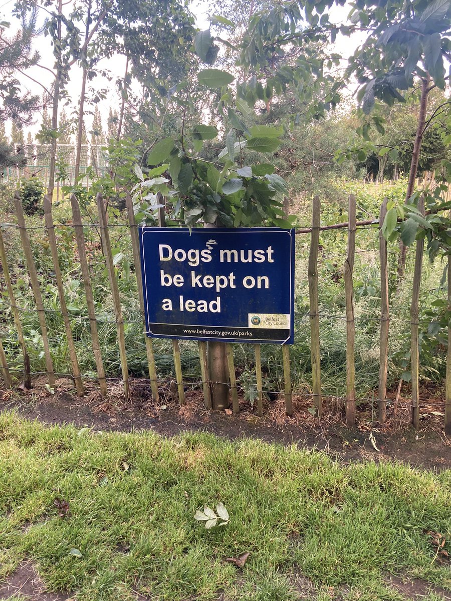 Please enforce this! It’s Not happening in Cherryvale Park.