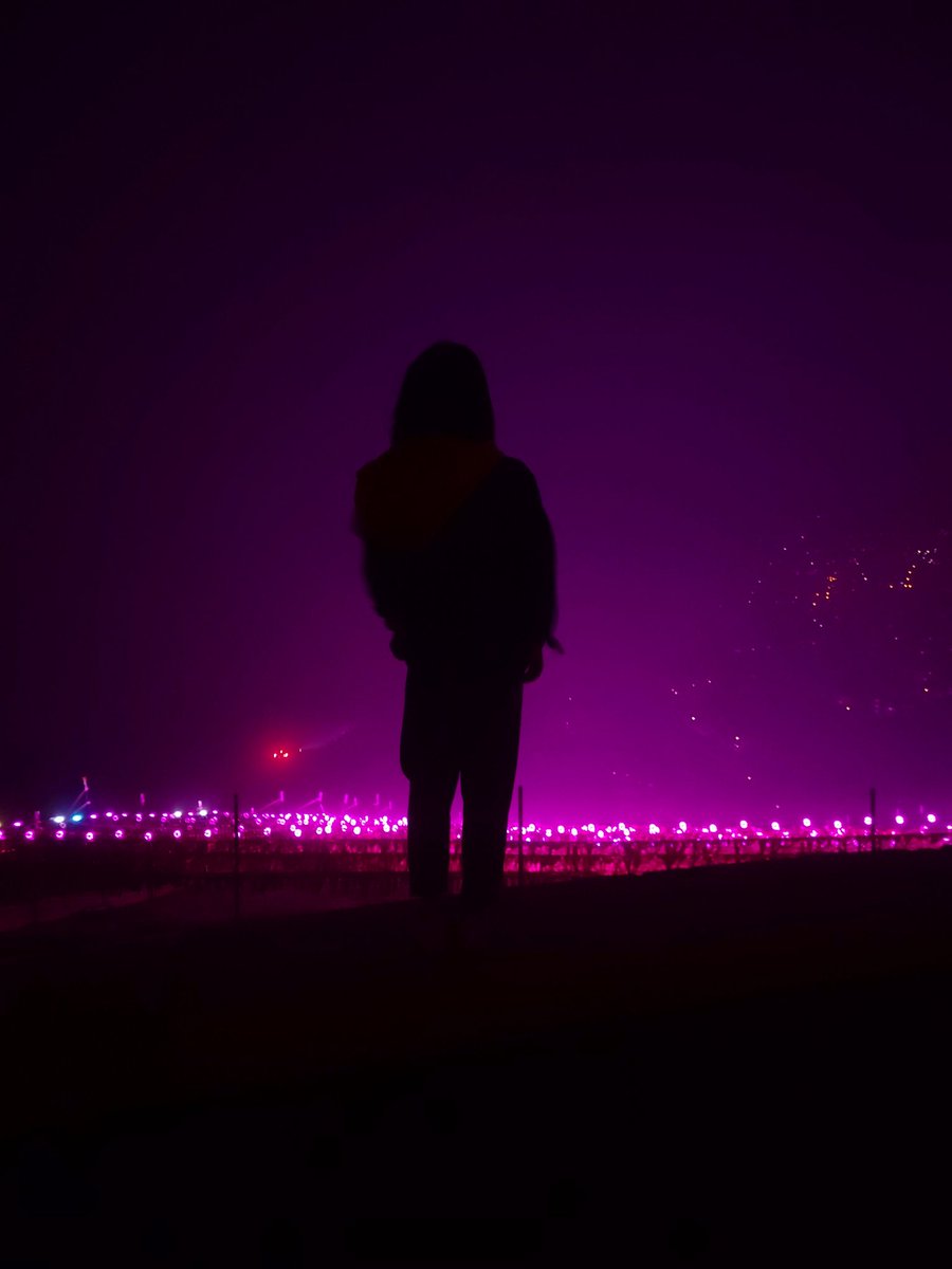 Julie Qiu (@julieqiu) on Twitter photo 