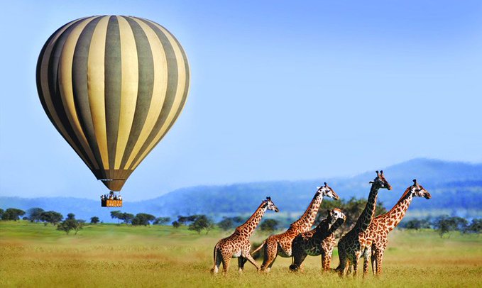 Serengeti the land of unforgettable experience

Serengeti Where Magic Lives On
Serengeti Shall Never Die

#Serengeti 
#mamayukokazini 
#RoyaltourTanzania
#MagicSerengeti
#VisitSerengeti