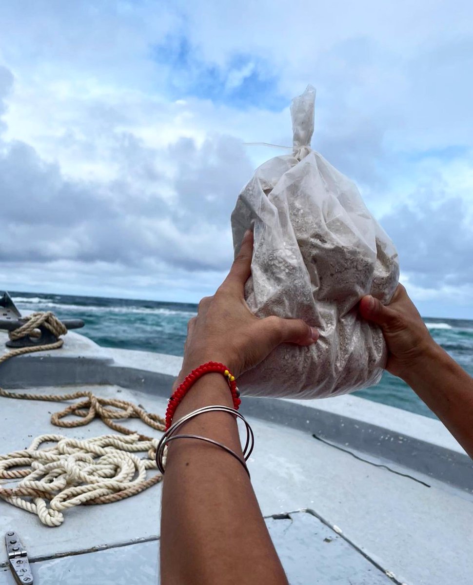 Rodrigo Jisó tweet media