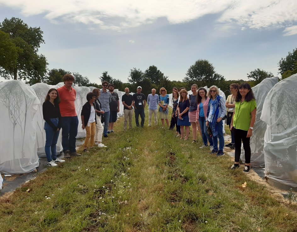 Annual conference June 21-22 in Le Rheu (France): the <a href="/BrasExplor/">BrasExplor</a> partners observing the #seed production under cages of their own populations from the different countries!

#brassica #diversity  #mediterranean

<a href="/PrimaProgram/">PRIMA Program Mediterranean Partnership 🇪🇺</a> <a href="/INRAE_BzhNdie/">INRAE Bretagne-Normandie</a> <a href="/UMR_IGEPP/">UMR Igepp</a>