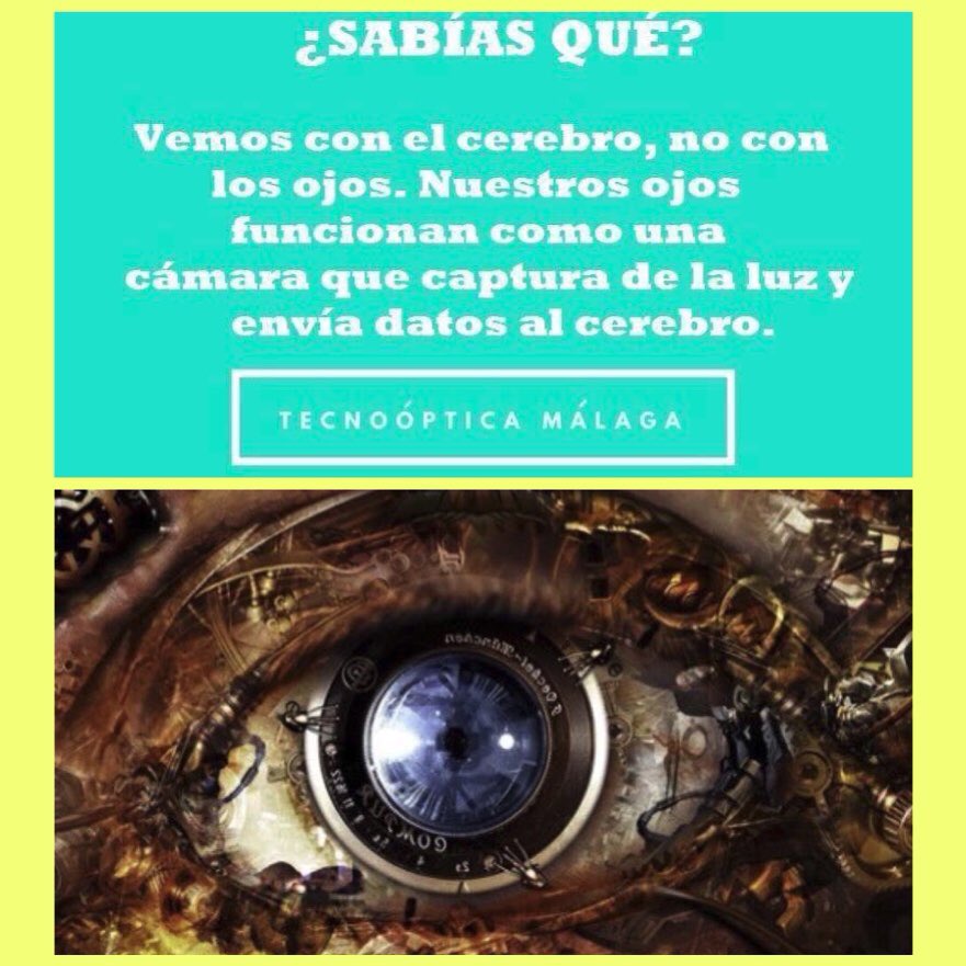 tecnooptica's tweet image. 👁Curiosidades sobre el ojo…feliz semana !!

#óptica #tecnooptica #ojos #curiosidades #sabiasque #felizlunes #felizsemana