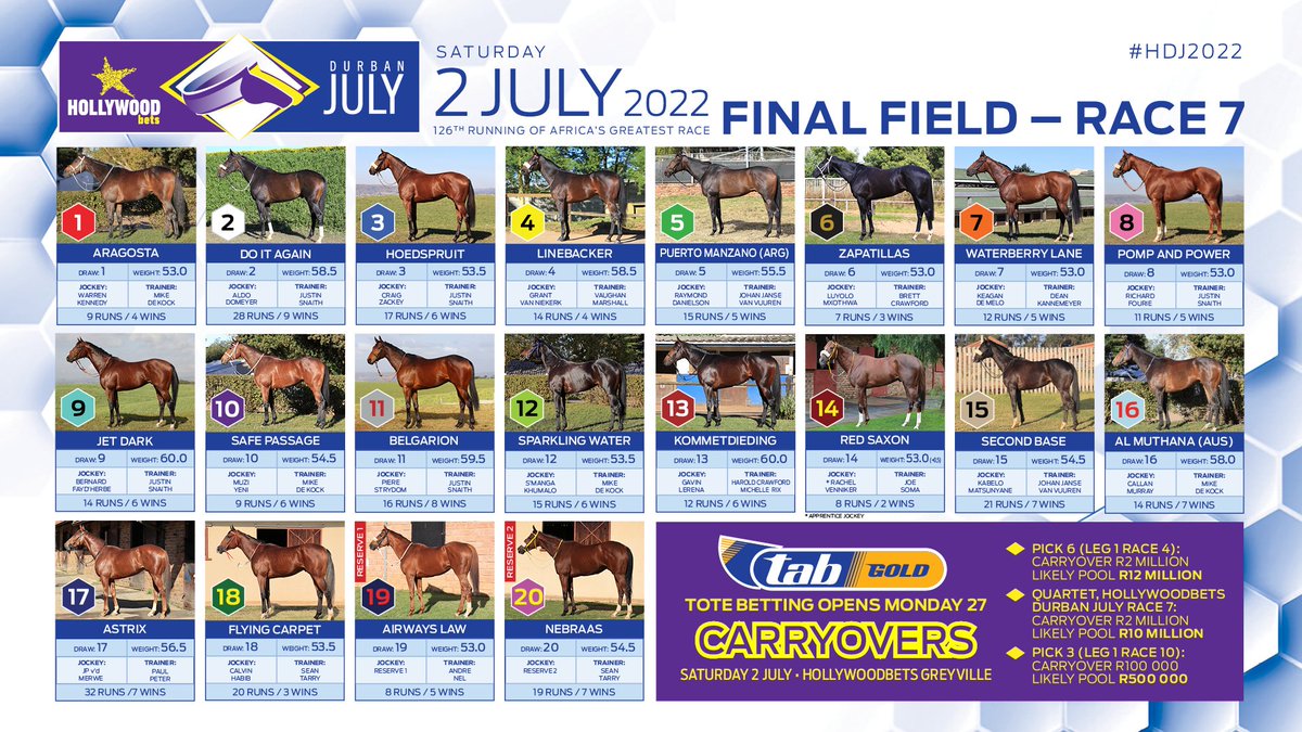 GallopTvRSA's tweet photo. The #FinalField of the Hollywoodbets Durban July #HDJ2022 https://t.co/AKAzY9xuNA