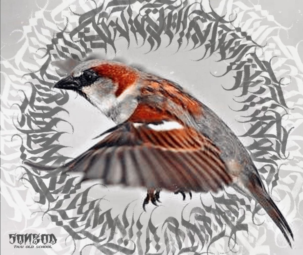 songod66's tweet photo. ถึงแม้ว่าจะเป็นแค่นกกระจอก แต่มันก็บินด้วยปีกของตัวเอง 🦜🦜🦜
" บินไม่ต้องสูงกว่าใคร บินให้ถึงก็พอ "
#SONGOD66
#ไทยโอล์ดสคูล
#ThaiOldSchool
#ThaiLettering
#Calligraphy
#Writer
#สติ https://t.co/zDR0Fv1EYS