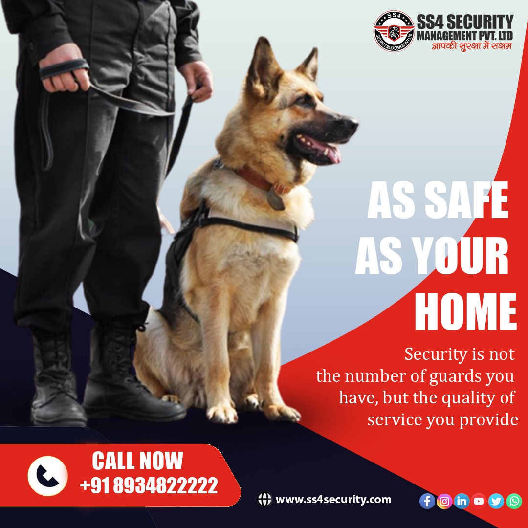 SecuritySs4's tweet photo. Our Squad dog services are a complete package for all your security needs. The Squad dogs can be deployed for both indoor and outdoor security needs.
#dog
#protectiondog
#dogservices
Call Now: + 91 89348 22222
Email - info@ss4security.com
Visit : https://t.co/rlaEAjLytj https://t.co/R6XgIK4pAs