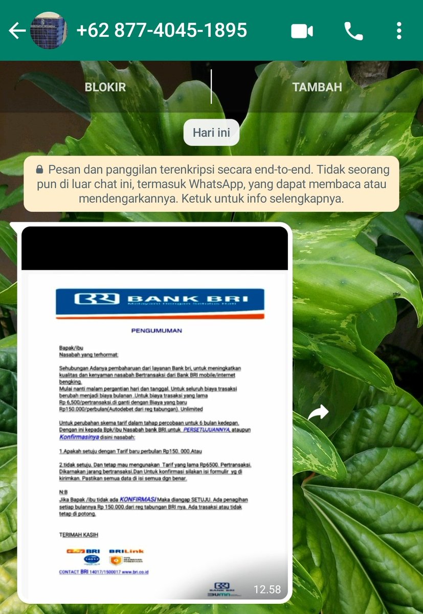 MAS BEJA _T tweet media