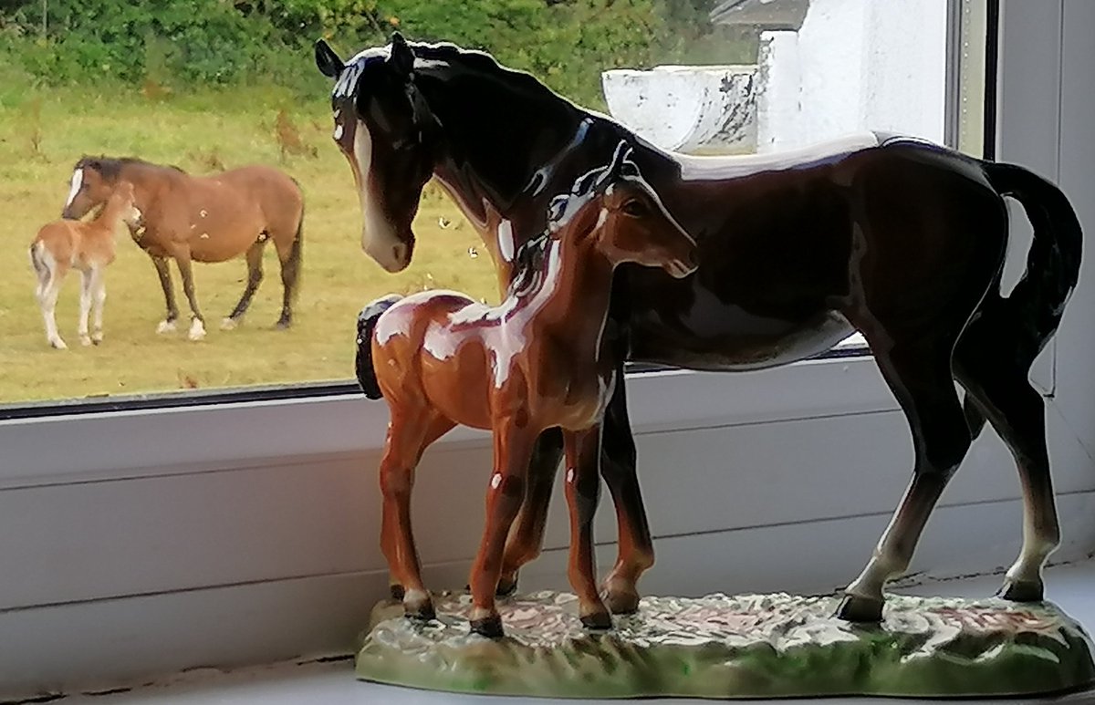 Life imitating art out of the bedroom window this morning