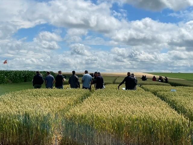 👍💪De derde en laatste week van de proefveldbezoeken start nu ! Het Bayer Crop Science team werkte met hart en ziel aan de voorbereiding. Opnieuw zien we in de verschillende teelten mooie oplossingen voor de toekomst. #teambayerbenelux