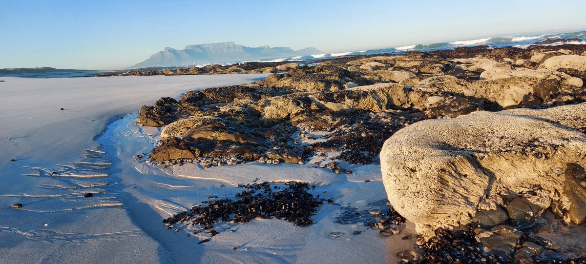 TravelLAT's tweet image. Beautiful day in the Mother City! #Capetownsouthafrica