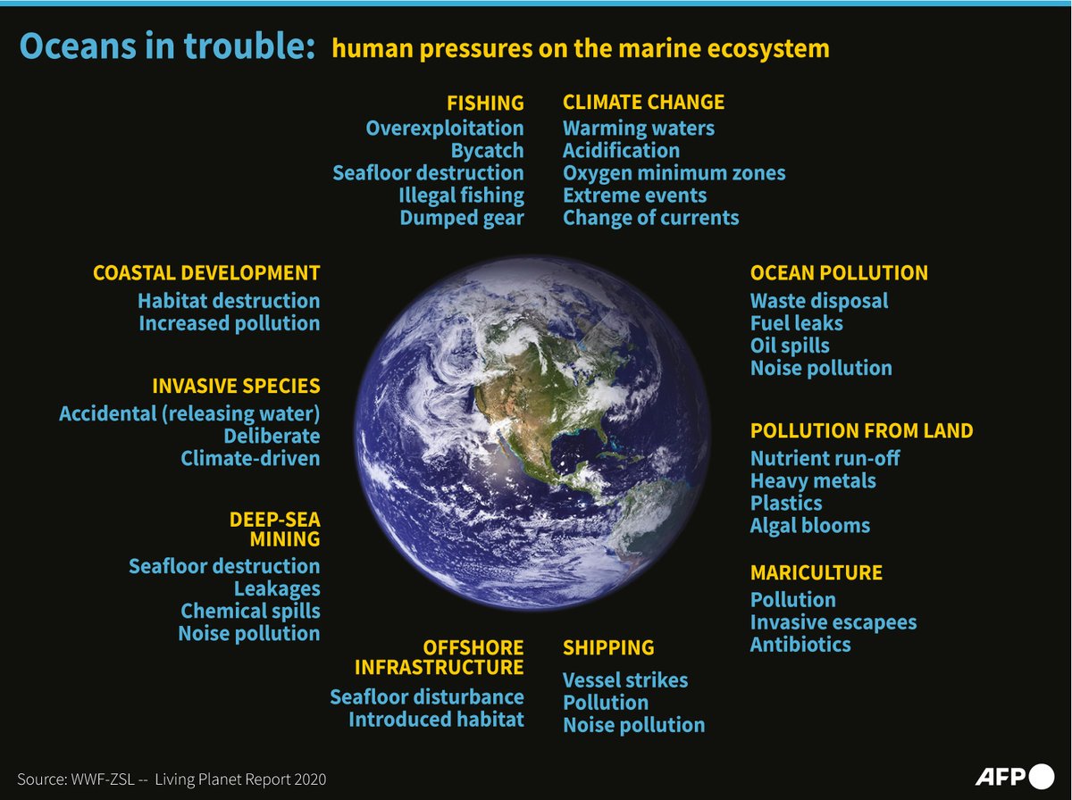 AFP's tweet photo. Oceans in trouble.

#AFPGraphics on the environmental damage in oceans caused by human activity https://t.co/UMpLYJevS7