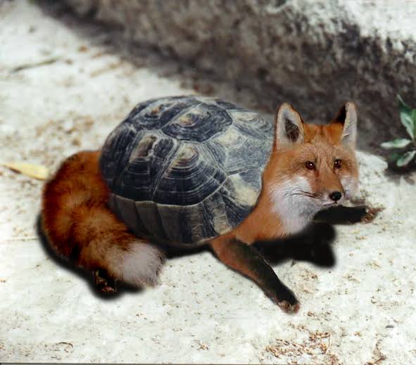 ㅤ
ㅤ
ㅤHappy birthday !
ㅤ<a href="/divinavulpo/">。八重神子</a> 
ㅤ
ㅤ