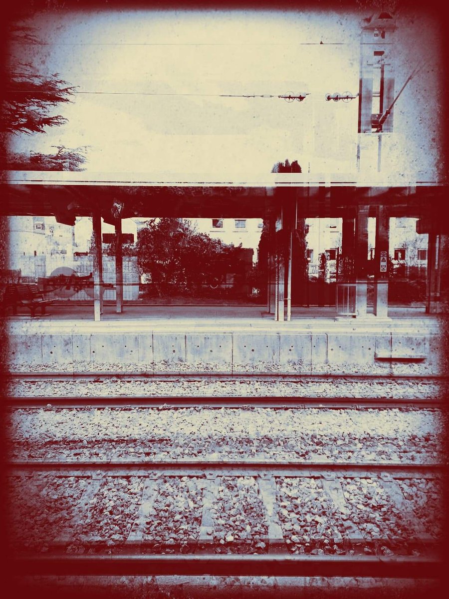 jeremedias's tweet photo. En voyage... https://t.co/m8jLle3hrx